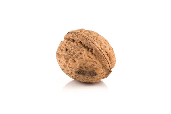 Orzecha włoskiego nut na białym — Zdjęcie stockowe