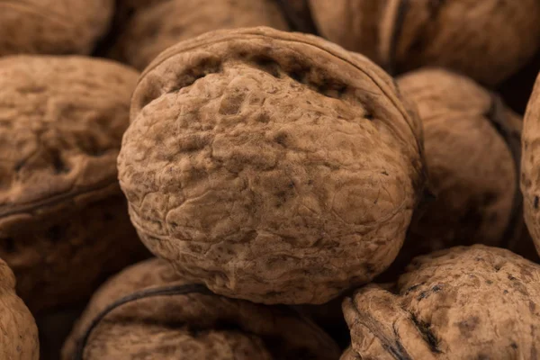 Walnut moer closeup — Stockfoto