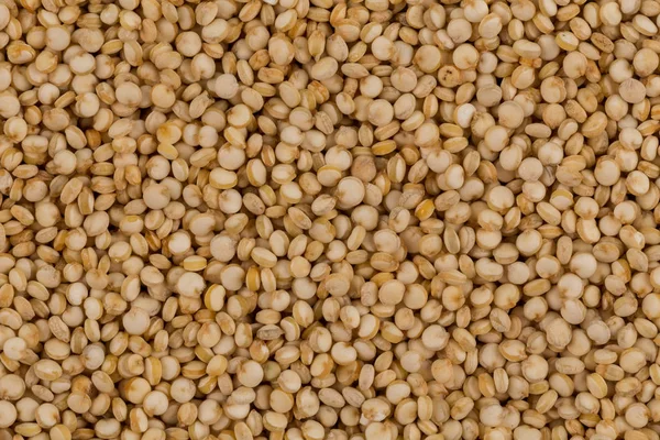 Sementes de quinoa fechar — Fotografia de Stock