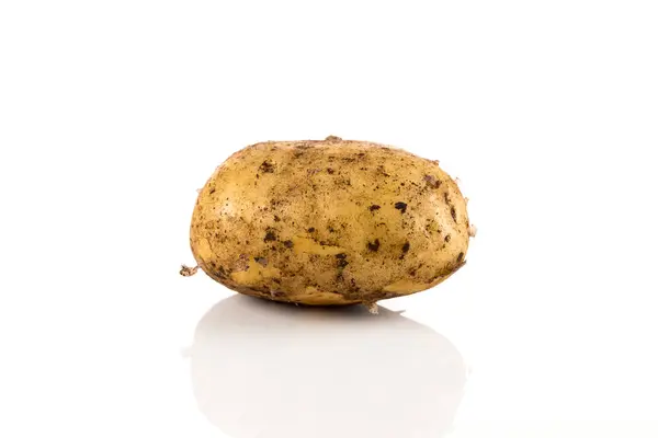 Брудна картопля ізольована на білому тлі . — стокове фото