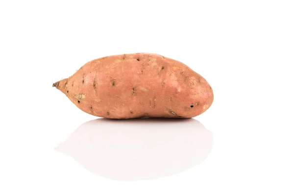Солодка картопля на білому тлі — стокове фото