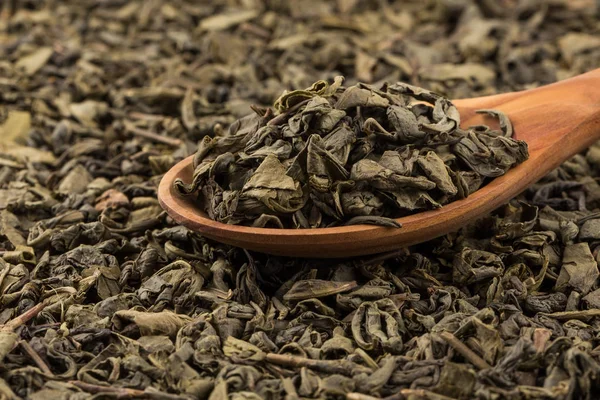 Gunpowder green tea — Stock Photo, Image