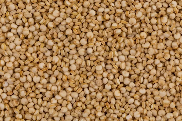 Sementes de quinoa fechar — Fotografia de Stock
