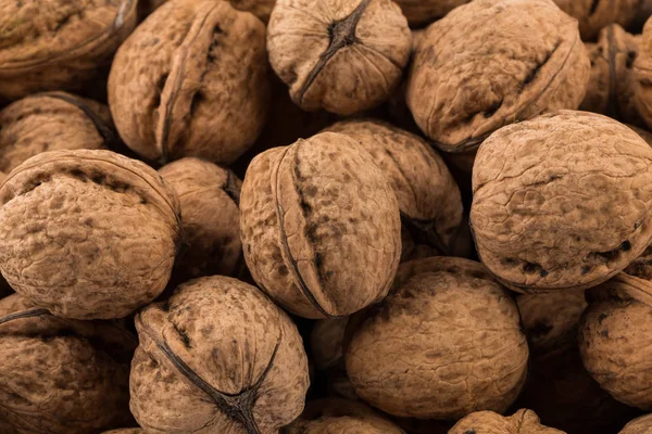 Walnut Moer Dicht Foto Voor Een Achtergrond — Stockfoto