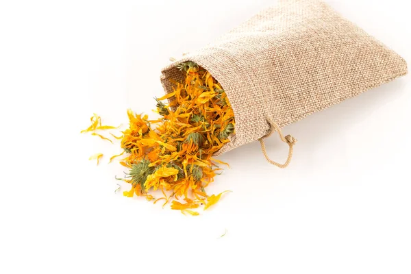 Calendula flowewr tea — Stock Photo, Image