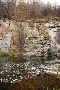Kanyon kayasının direkt görüntüsü. Uçurum ve köpüklü nehir. Sahilde sonbahar yaprakları. 
