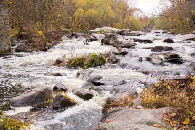 Nehir taşların ve bitkilerin arasında hızla akar ve köpük oluşturur. Ormandaki nehrin hızlı akışı.