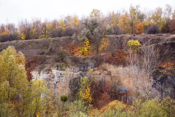 Incredible landscape. Rocky surface and trees with colorful leaves. Picturesque background.