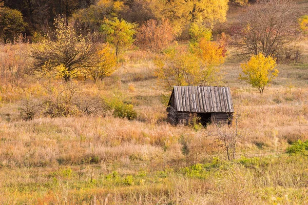 Egy magányos kis kunyhó a fák között. Kis faház és őszi növények körül. Őszi táj. — Stock Fotó