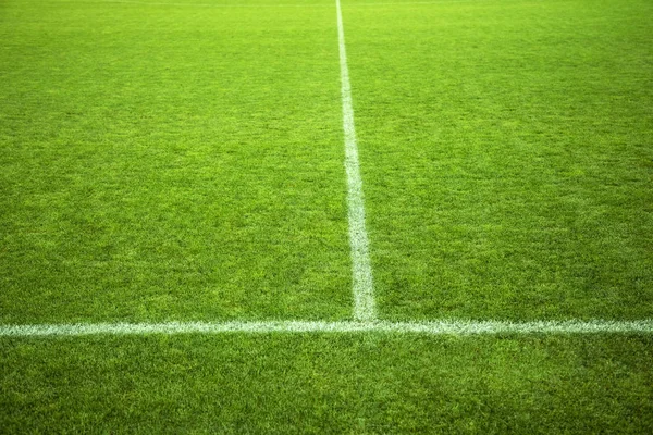 Stadion. Fotbalové hřiště se značkou. Fotbalové hřiště pokryté zelenou trávou. Pole pro profesionální hru — Stock fotografie