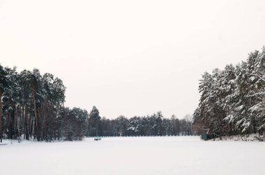 Kış manzarası. Panoramik manzara. Ağaçlarla çevrili geniş bir alan karla kaplı..