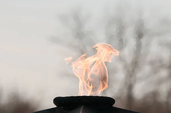 Věčný plamen, rozvíjející se plamen zblízka. Royalty Free Stock Obrázky