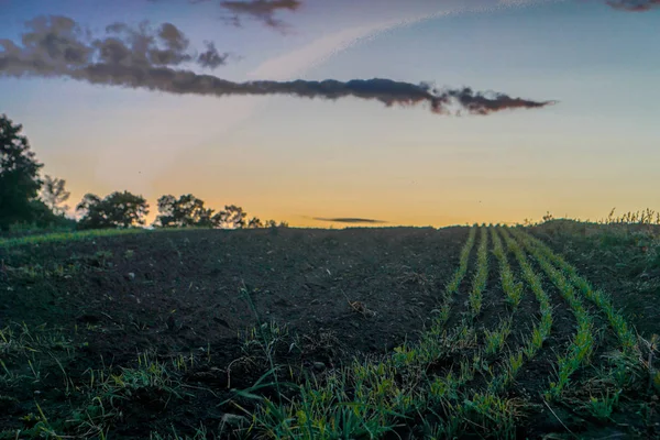 Picture of Vermont Sunset over farm — Stock Photo, Image