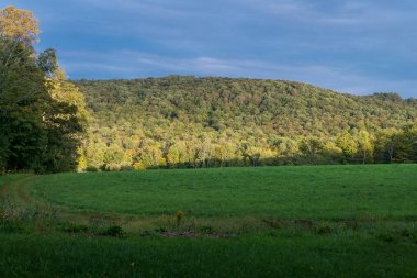 Vermont bir çiftlikte açık bir araziyi bir yol Rüzgarlar
