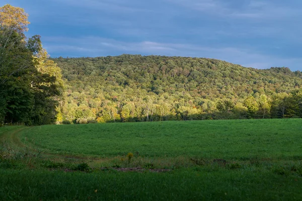 A path winds across an open field on a farm in Vermont