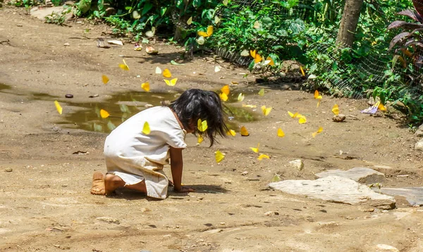 Wiwa Gyermek Játszik Pillangó Raj — Stock Fotó