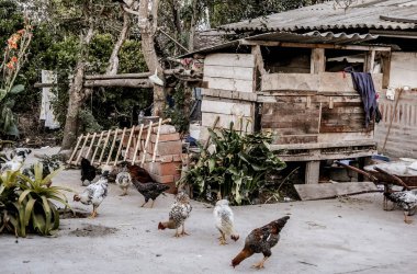 Santa Barbara aile yanında konaklama, Ecuador