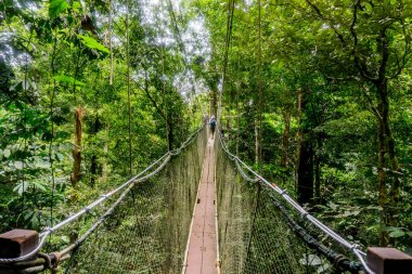 Mulu (Sarawak), Borneo