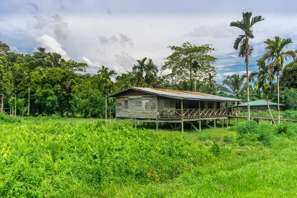 Mulu (Sarawak), Borneo