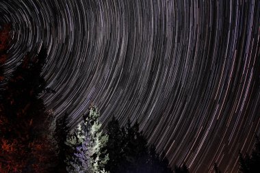 Star Trails - Rocky Dağları