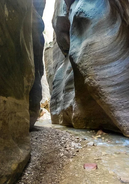 Senderismo Los Estrechos Parque Nacional Zion — Foto de Stock