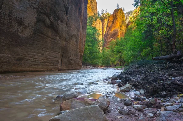 Caminhadas Estreias Parque Nacional Zion — Fotografia de Stock