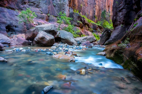 Senderismo Los Estrechos Parque Nacional Zion — Foto de Stock