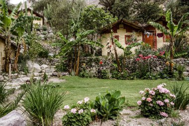 Kanyon vaha kamp yerinde ikinci bizim