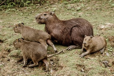 Seyahat etmek fotoğraf 2016