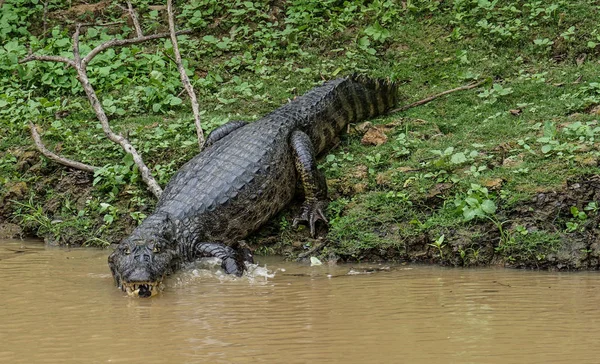 Reizen Foto Van 2016 — Stockfoto