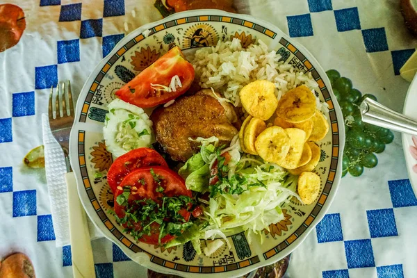 Our First Lunch Jungle — Stock Photo, Image