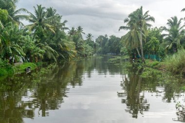 Appelley (Kerala), Hindistan