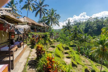 Ubud (Bali), Endonezya