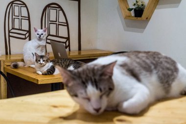 kuala lumpur, Malezya