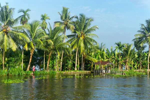 Appelley (Kerala), India — Stock Photo, Image