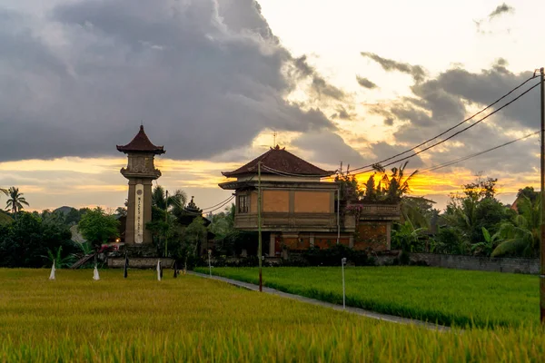 Ubud (Bali), Indonezja — Zdjęcie stockowe