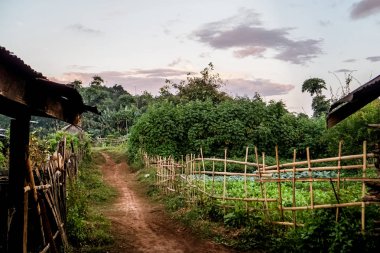 Resmi Dünya çapında backpacking süre alınan