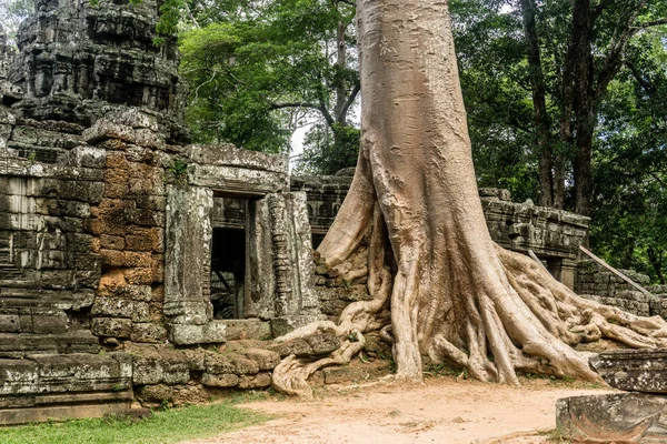 Angkor wat, Kambodža — Stock fotografie