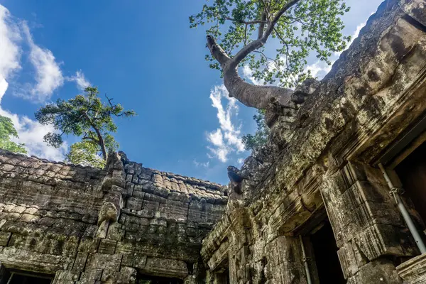 Angkor Wat, Cambodia