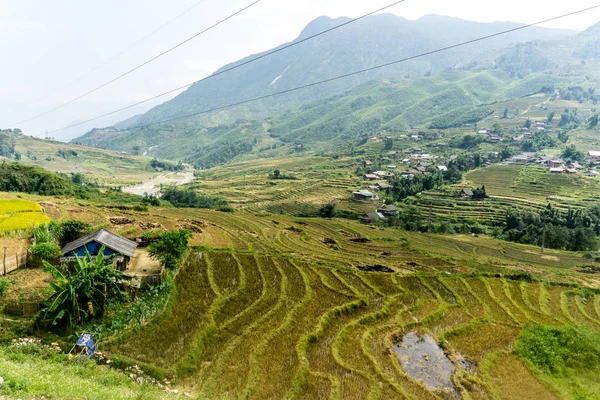 Sapa, Vietnam — Stockfoto