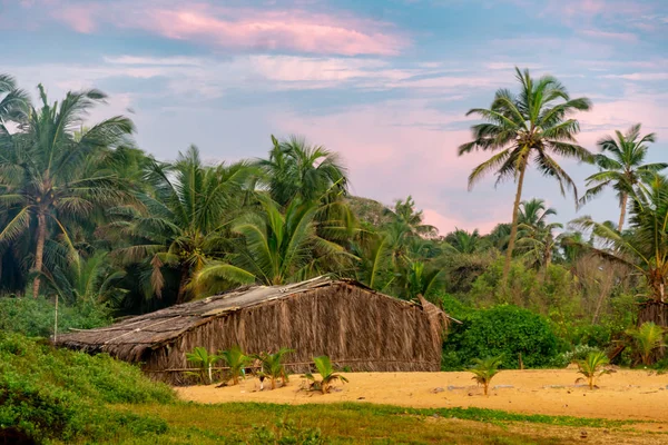 Sunset in Goa with Palmtrees — Stock Photo, Image
