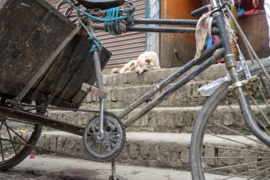 Nepal 'de eski bisikleti olan bir köpek.