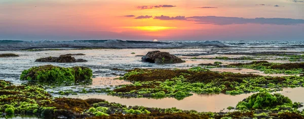 Batu Bolong Sahili 'nde gün batımı manzarası, Bali — Stok fotoğraf