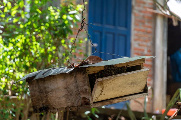 Balinesische Bienenstöcke aus Holz hängen — Stockfoto