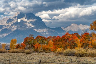Kırmızı, sarı ve turuncu yapraklar dağ sırtında değişiyor.