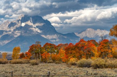 Kırmızı, sarı ve turuncu yapraklar dağ sırtında değişiyor.