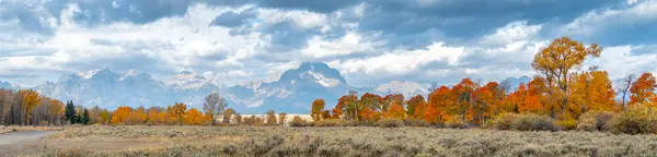 Foglie rosse, gialle e arancioni che cambiano con la montagna sullo sfondo — Foto Stock