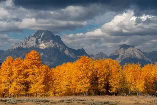 Foglie rosse, gialle e arancioni che cambiano con la montagna sullo sfondo — Foto Stock