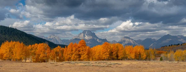 Foglie rosse, gialle e arancioni che cambiano con la montagna sullo sfondo — Foto Stock