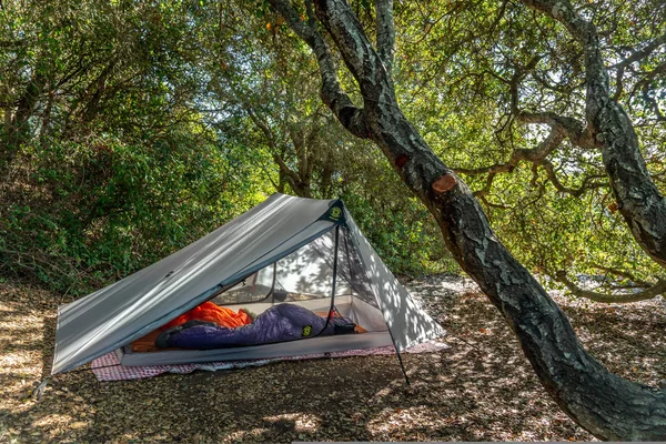 A-Frame tent set up in forested area — 스톡 사진